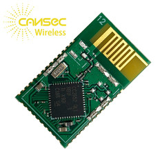 গেটওয়েতে Zigbee Cc2652 মাল্টি প্রোটোকল মডিউল